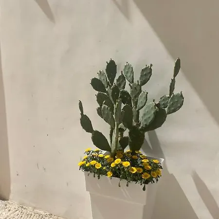 Ferienhaus Calce Bianca Tuglie